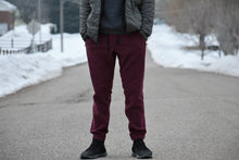 Load image into Gallery viewer, Evolution Joggers: Made from Recycled Coffee Grounds-Shipping Nov. 2020 (4507075248177)